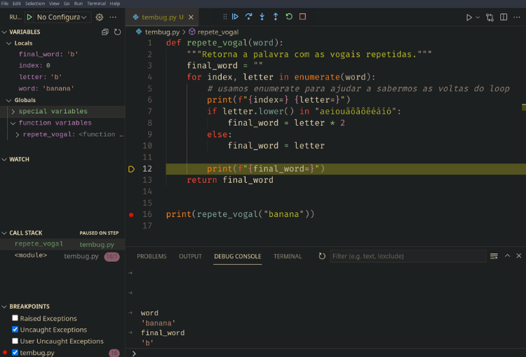 Debugging pudb