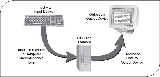 input output